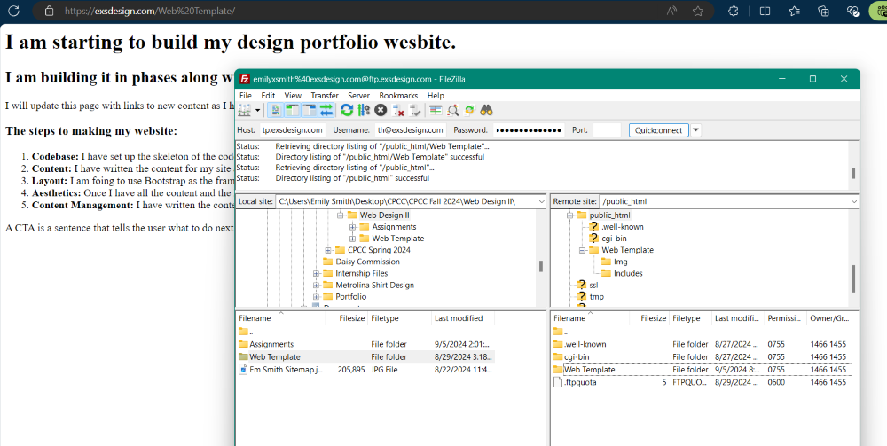 a screenshot showing my hosting space connected in Filezilla with a new site definition to save the connection information