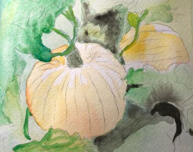 Pumpkins - Watercolor